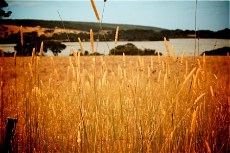 Kangaroo Island, Australia, Coastline