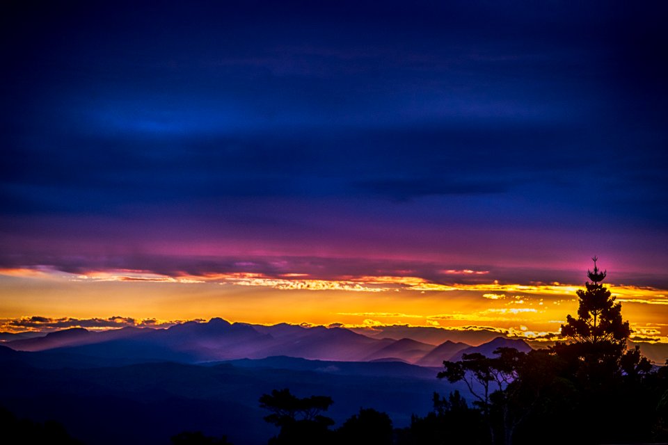 Lamington national park, Binna burra, Australia