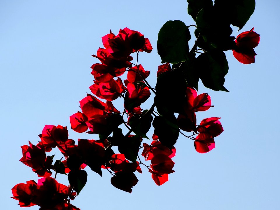Ixmiquilpan, Mexico, Sky