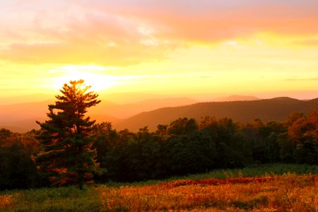 Sunset, Tree, Shen photo