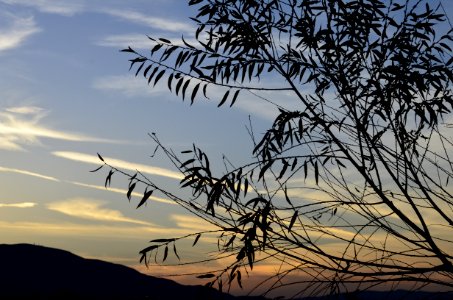 Corona, United states, Evening