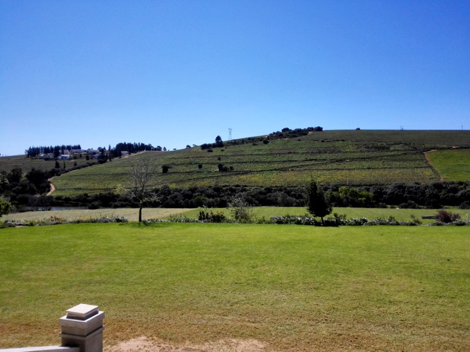 Wellington, South africa