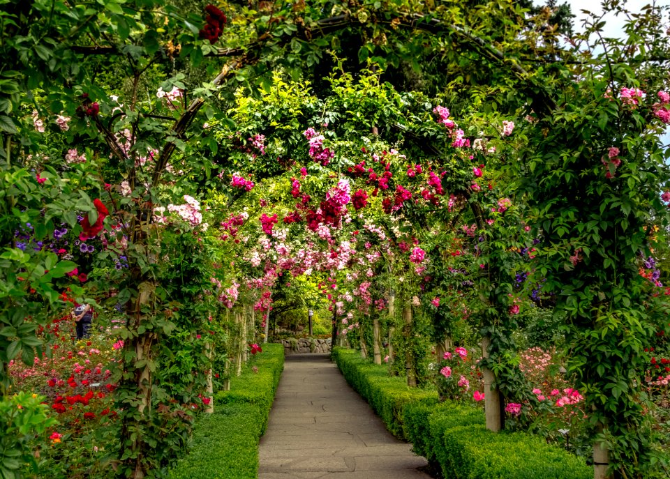 Butchart gardens, Brentwood bay, Summer