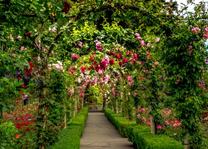 Butchart gardens, Brentwood bay, Summer