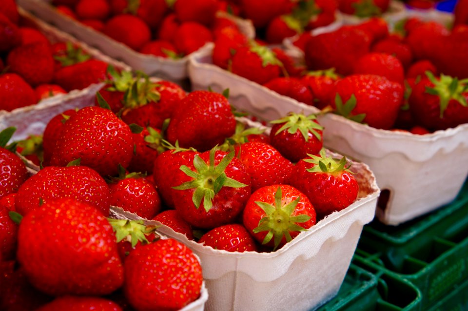 Bonn, Germany, Food