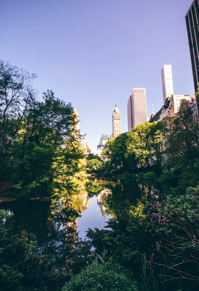 Central park, New york, United states