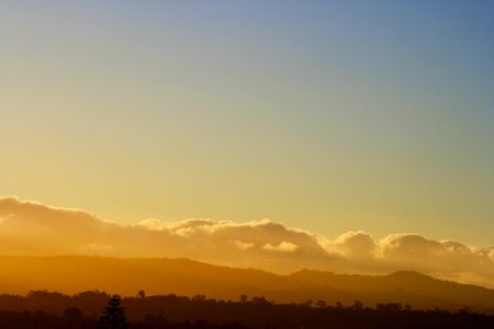 New windsor, Auckland, New zeal