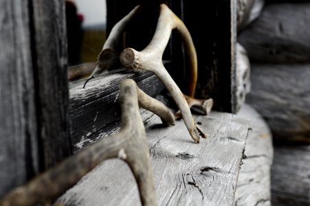 Cabin, Wood, Arctic photo