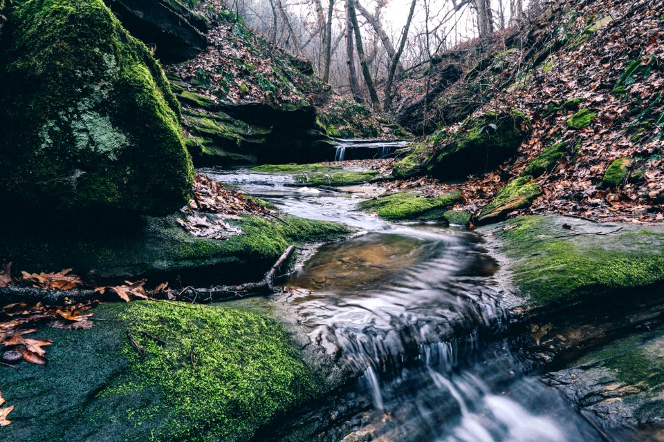 Wildcat den state park, Muscatine, United states