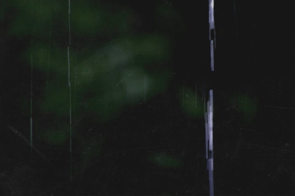 Forest, Green, Bokeh