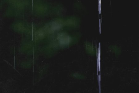Forest, Green, Bokeh
