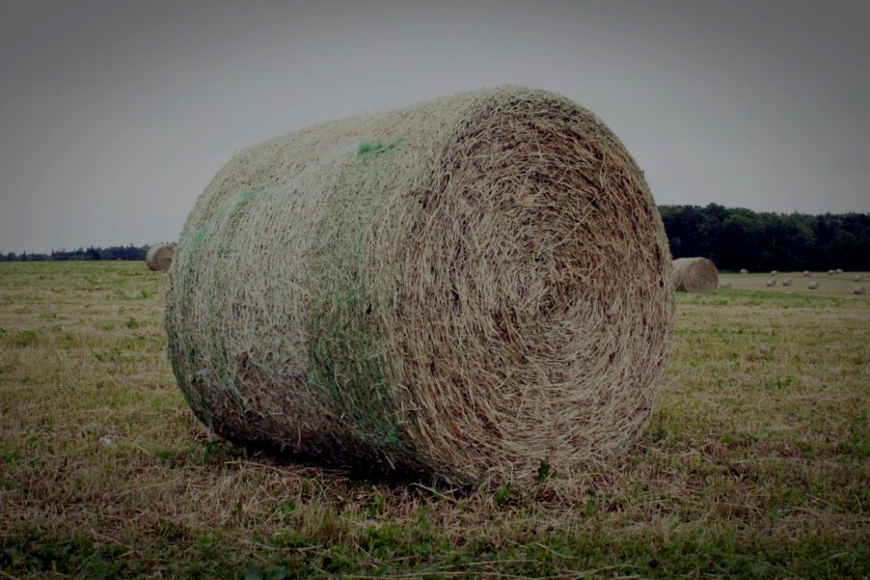 Cornwall, Canada, Hay