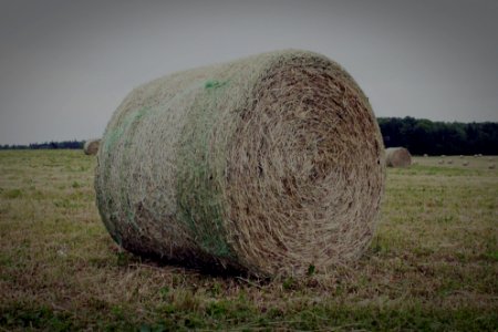 Cornwall, Canada, Hay