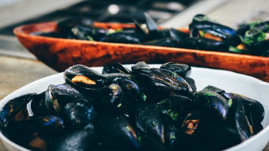 cooked mussel. in white bowl photo