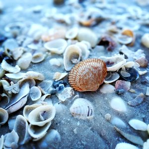 City of marco, Marco Island, Florida