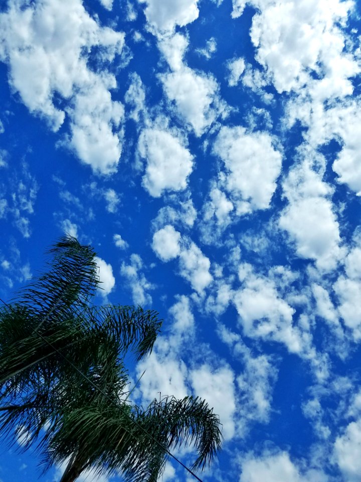 Los angeles, United states