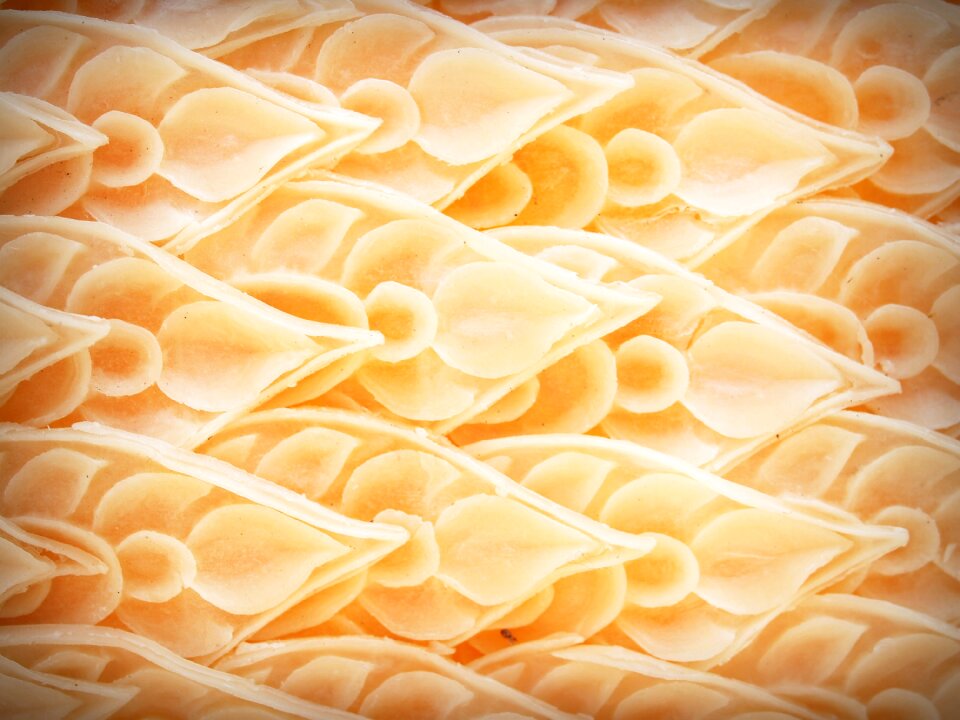Carvings form wax