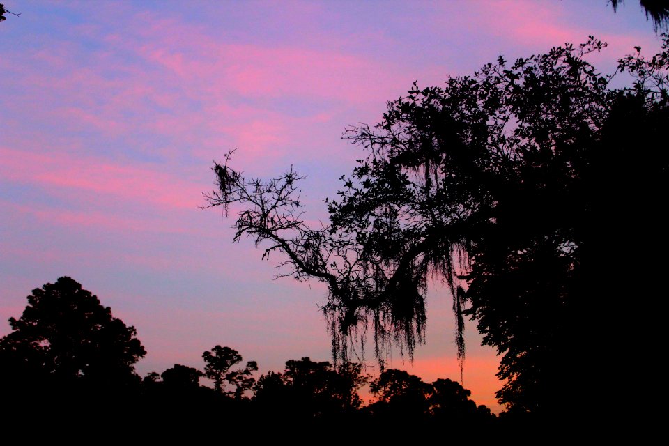 Sunset, Primitive, Florida