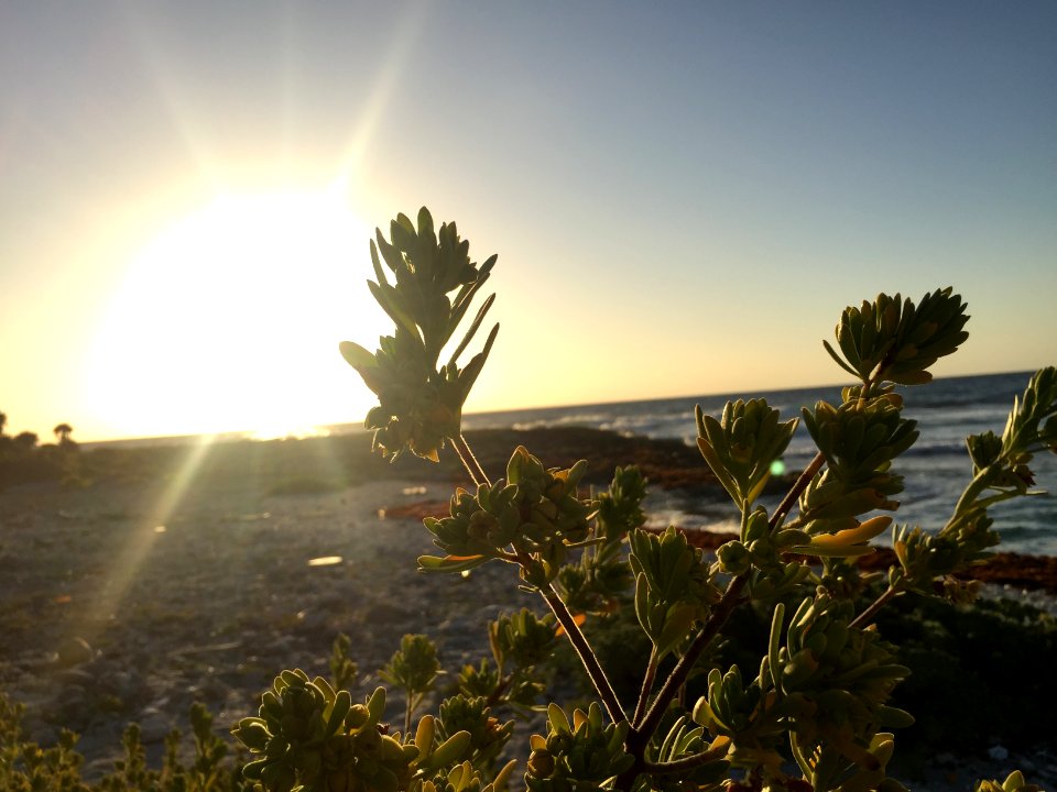 Mexico, Quintana roo, Waves