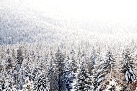 Wilson, United states, Mountains