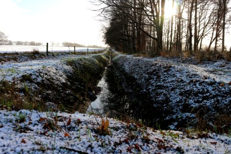 Aalten, Netherland, Trees