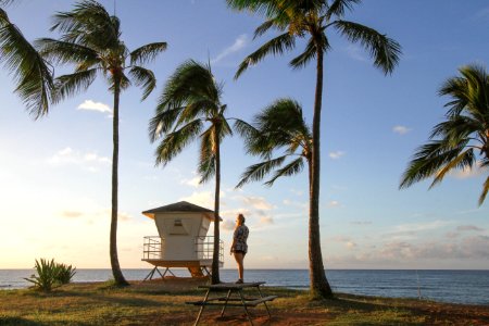 Beautiful beachfront shot in Hawaii.
