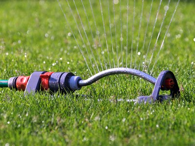 Hose connection rush garden