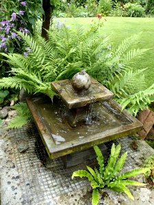 Garden, Stone, Green