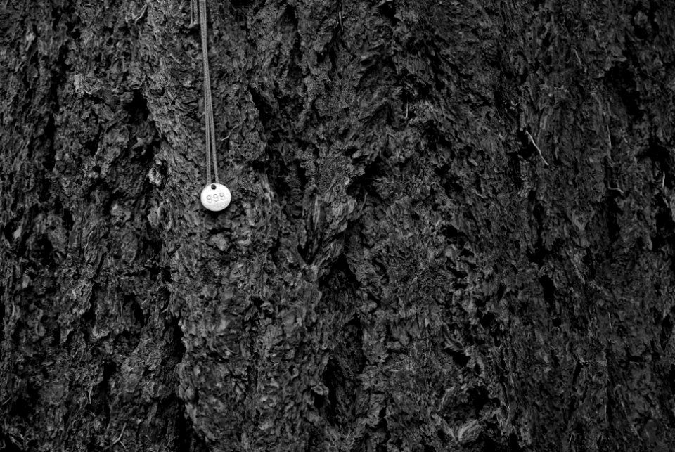 White, Bark, Black