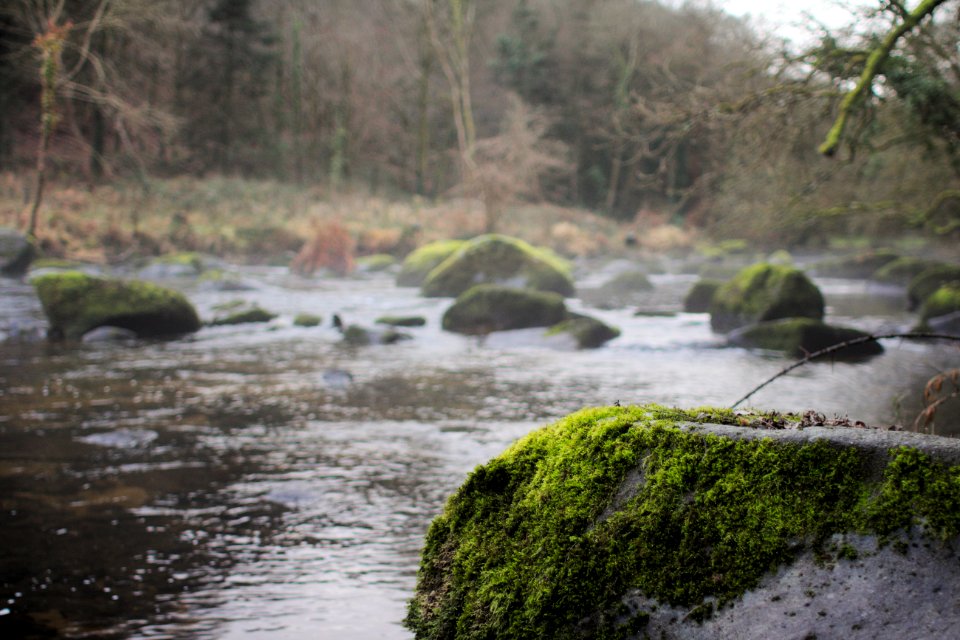 Brittany, France, River