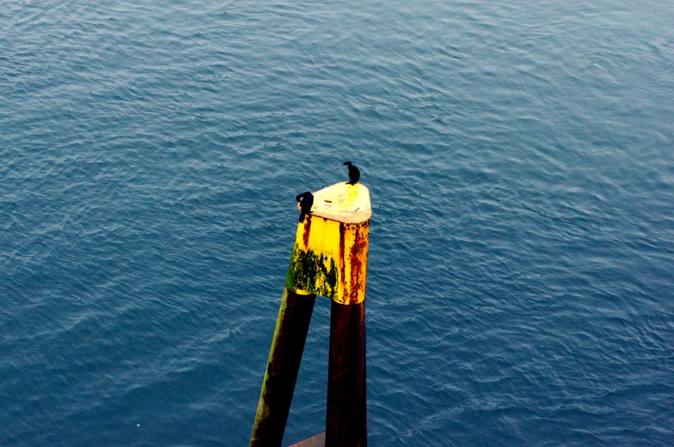 Swartz bay ferry terminal, North saanich, Canada