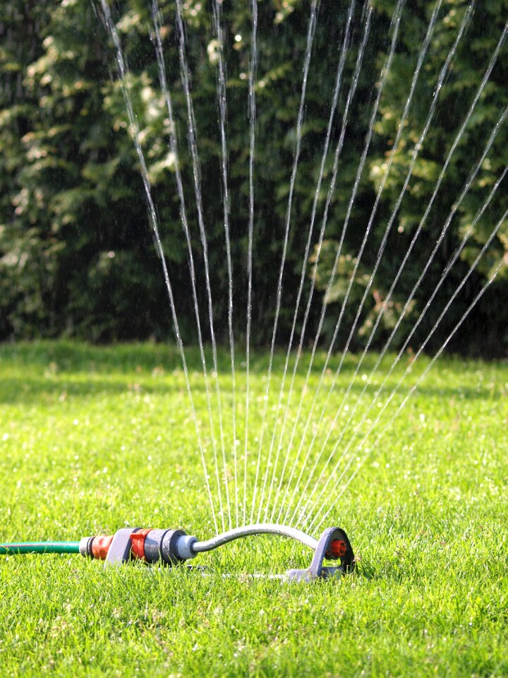 Drop of water rush garden