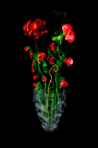 Flowers, Smoke