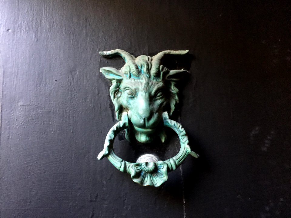 Brighton, United kingdom, Goat