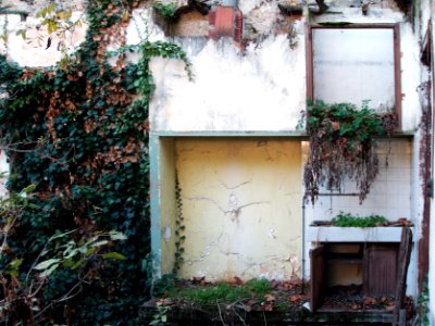 France, House, Oned