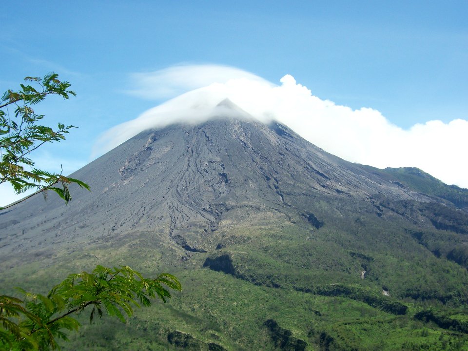 Indonesia, Yogyakarta city, Green
