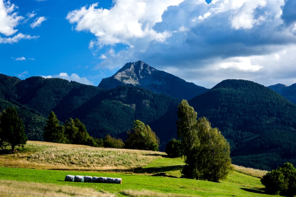 Scape, Cavalese, Trentino alto adige