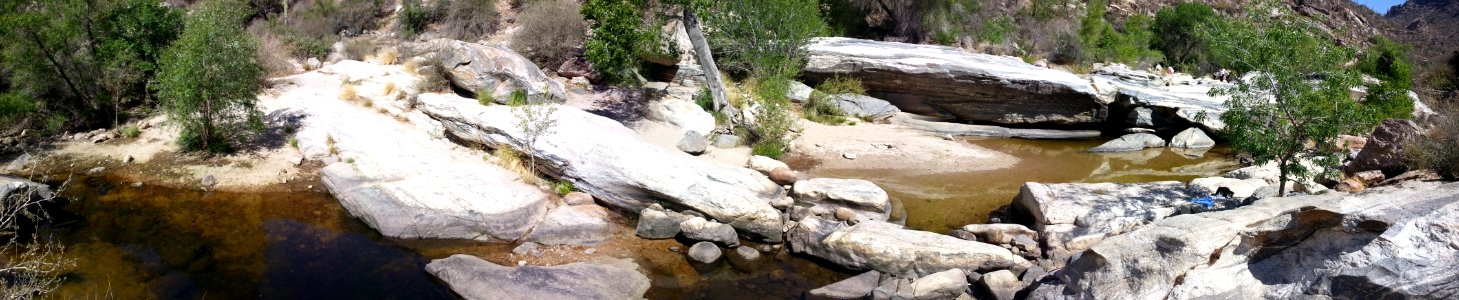 Santa catalina mountains, United states, Nature