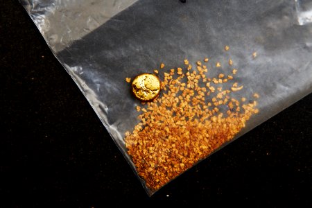 Finl, Gold