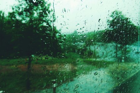 Rain, Green