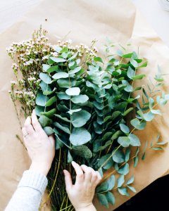 Floral, Eucalyptus, Flowers photo