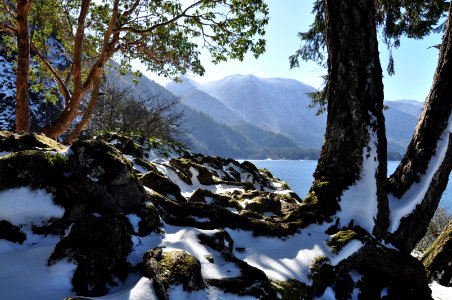 Nature, Mountains, Sunny