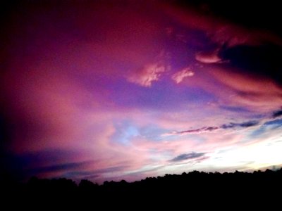 Nayathode, Angamaly, India
