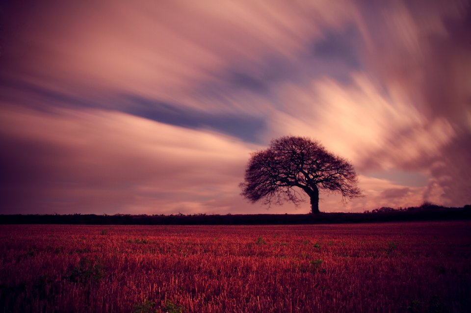 Long exposure, Field, Clouds