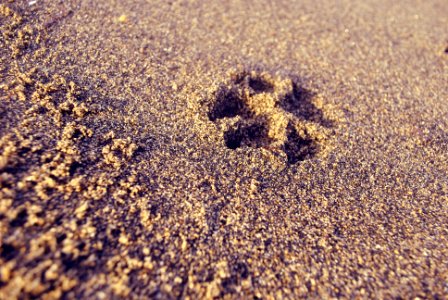 Merida, Philippines, Footstep