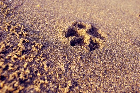 Merida, Philippines, Footstep photo