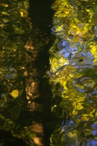 Samatan, France, Nature