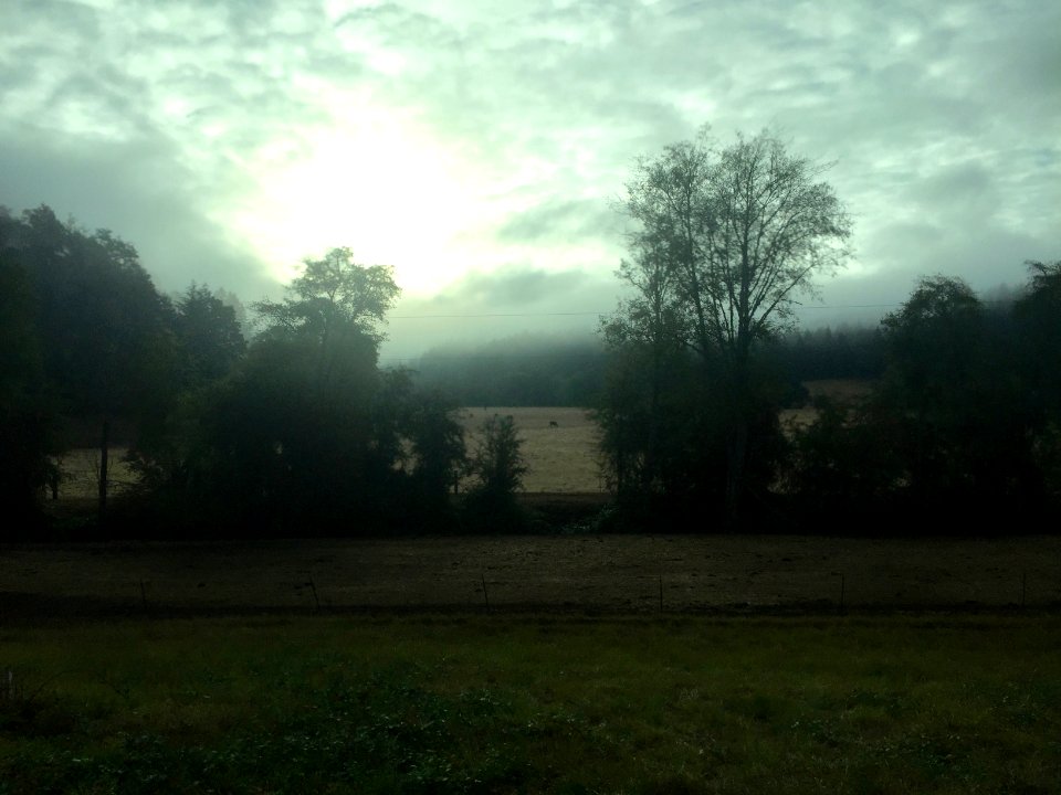 Oregon, United states, Sun