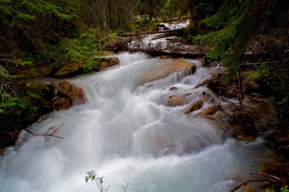 Nature stream outdoor