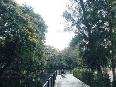 Thail, Bkk, Bike